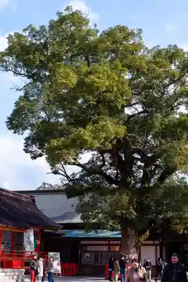 宇佐神宮(大分県)