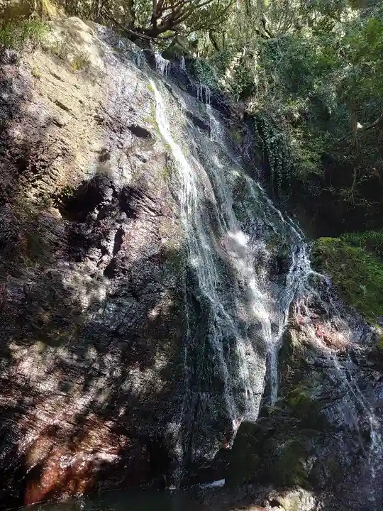 紀州宝来宝来神社の自然