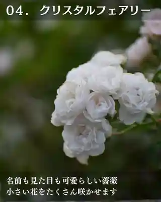 宝光寺(北海道)