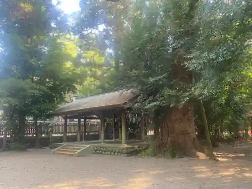 都農神社(宮崎県)