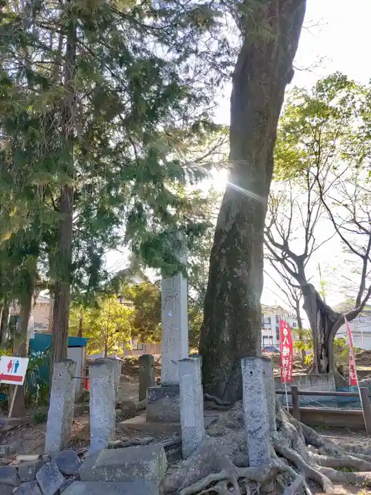 東石清水八幡神社(埼玉県)