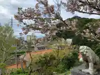 大萩神社の狛犬