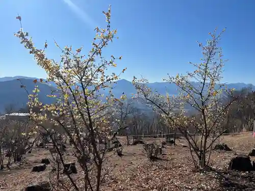 宝登山神社奥宮(埼玉県)