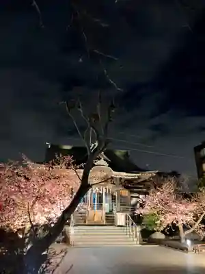 桜神宮(東京都)