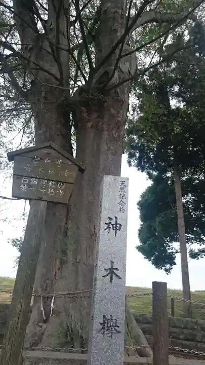 白鬚神社のその他建物