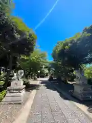 菊田神社の建物その他