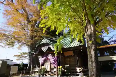 鹿島御子神社の本殿・本堂