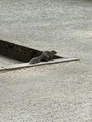 明月院(神奈川県)