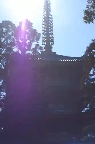 醍醐寺(京都府)