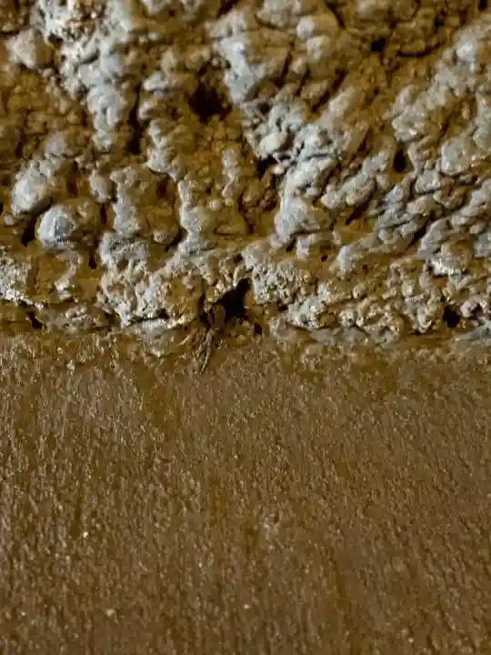 銭洗弁財天宇賀福神社(神奈川県)