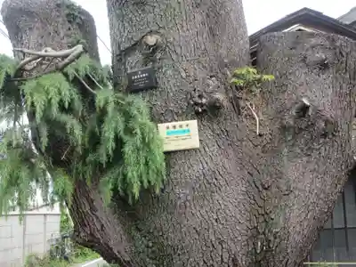 妙行寺(東京都)