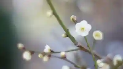 御霊神社(大阪府)