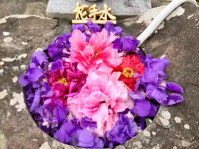 真言宗　善通寺派　薬王寺(香川県)