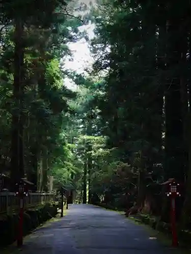 箱根神社(神奈川県)