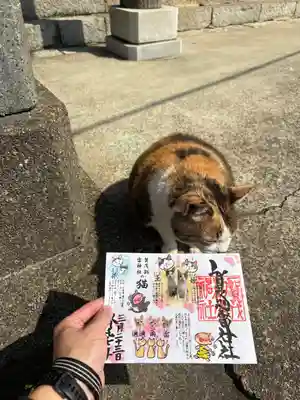 賀茂別雷神社(栃木県)