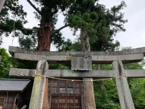 諏訪神社の鳥居