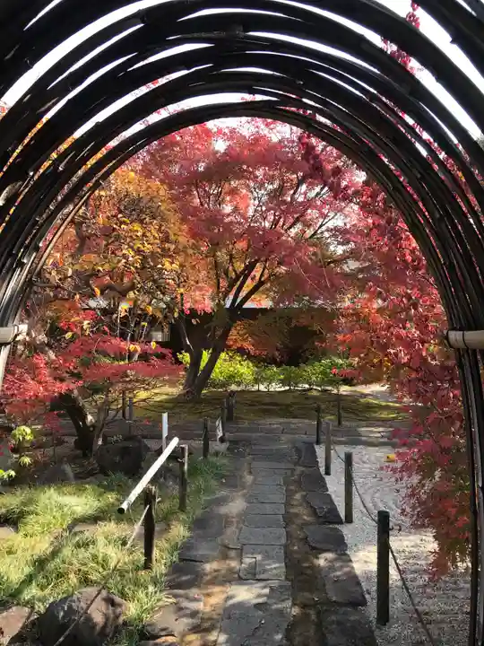 東光寺の庭園