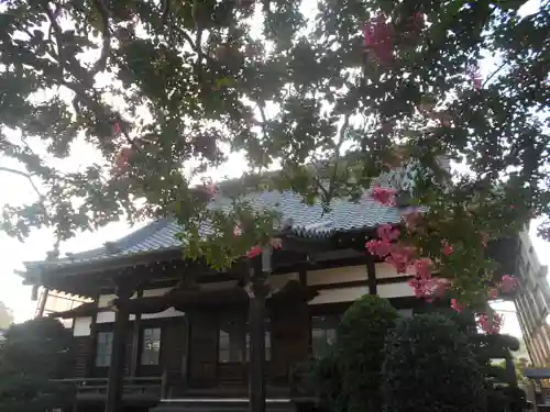 本興寺の本殿・本堂