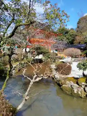 賀茂別雷神社（上賀茂神社）(京都府)