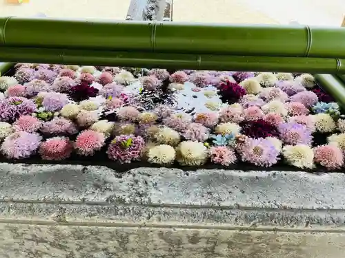 草加神社(埼玉県)