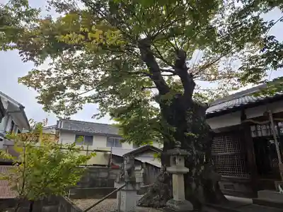 素戔嗚神社(大神神社境外末社)(奈良県)
