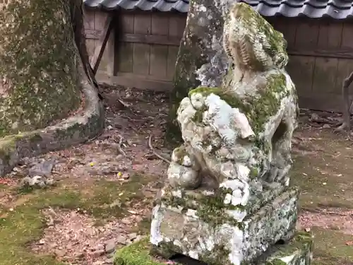 出雲大社の狛犬