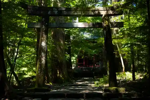 瀧尾神社（日光二荒山神社別宮）の鳥居