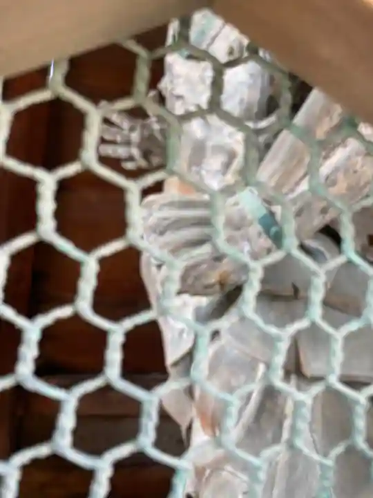 酒見寺(兵庫県)