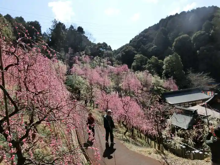 大縣神社の庭園