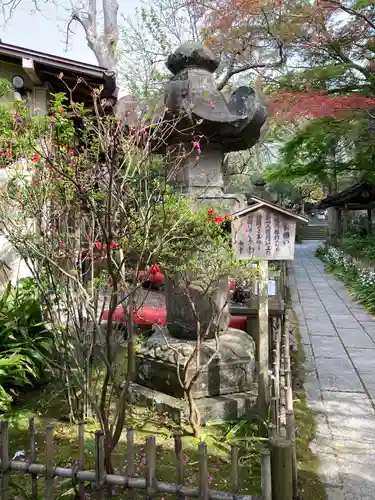 安國論寺（安国論寺）の庭園