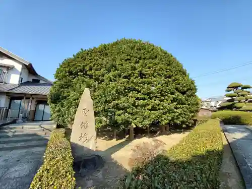 日蓮宗　本松寺の庭園