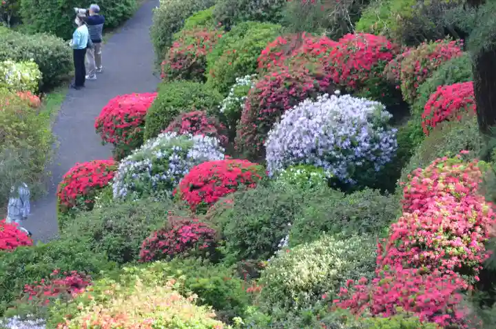 塩船観音寺の自然