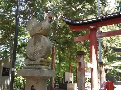 中野神社の狛犬