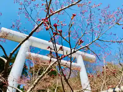 土津神社|こどもと出世の神さまの鳥居