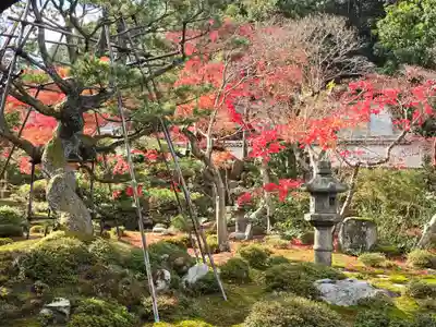 金剛寺(大阪府)