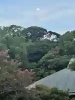 伊勢の国 四天王寺の自然