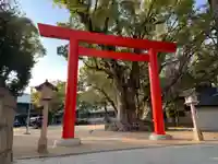 長田神社(兵庫県)