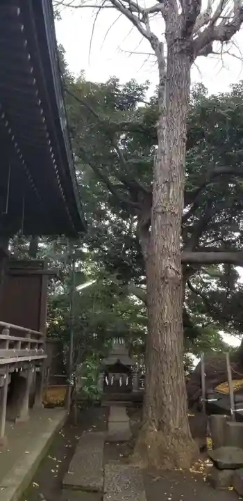 諏方神社の末社・摂社