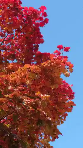相馬神社(北海道)