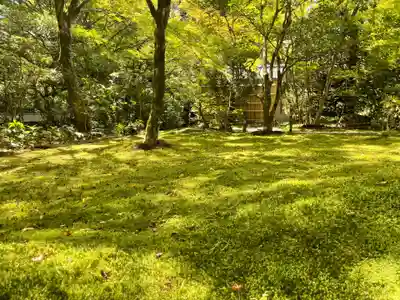 西芳寺(京都府)