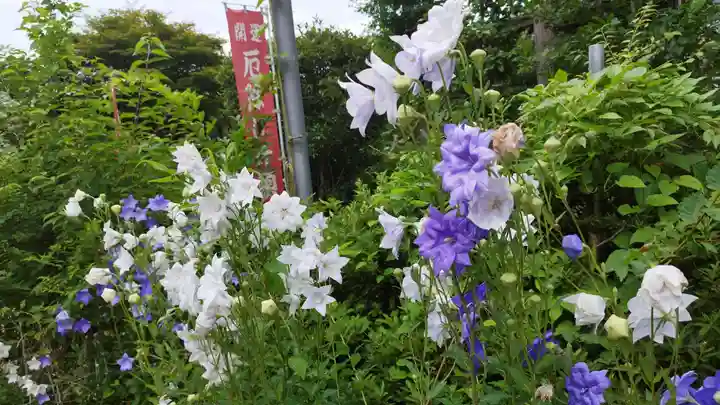 岡部春日神社~👹鬼門よけの🌺花咲く🌺やしろ~(福島県)