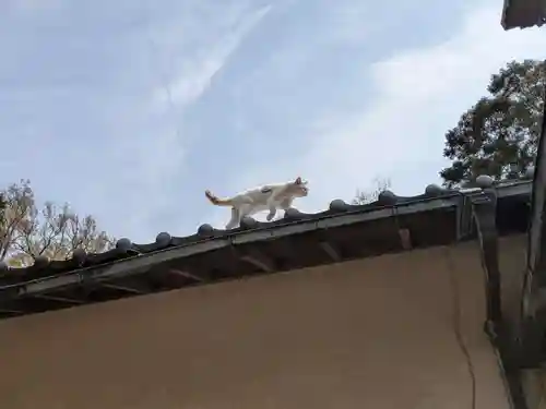 柏諏訪神社(千葉県)