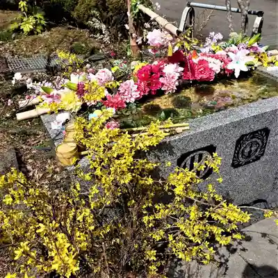 陽林寺の手水舎