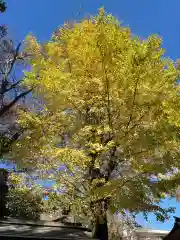 玉川神社の自然