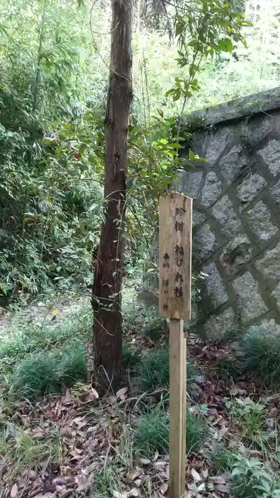 白山神社の歴史