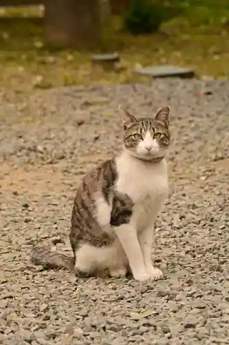 正福寺(茨城県)