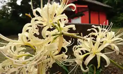 三崎稲荷神社の自然
