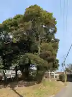 大六天皇の自然