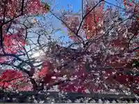 稱名院(東京都)