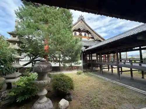 大通寺（長浜御坊）(滋賀県)